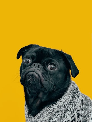 怀孕一个月吃避孕药能打掉吗？专业解答与安全指南