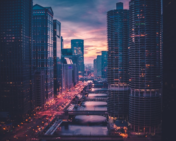 营养小米粥图片